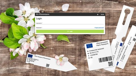Le logiciel mis au point par Güse GmbH permet de créer des étiquettes : le processus commence par la sélection de la mise en page d’impression souhaitée (étiquettes adhésives, labels de boucle et étiquettes à piquer) pour inscrire ensuite le pays d’origine et le code de traçabilité. © Güse GmbH